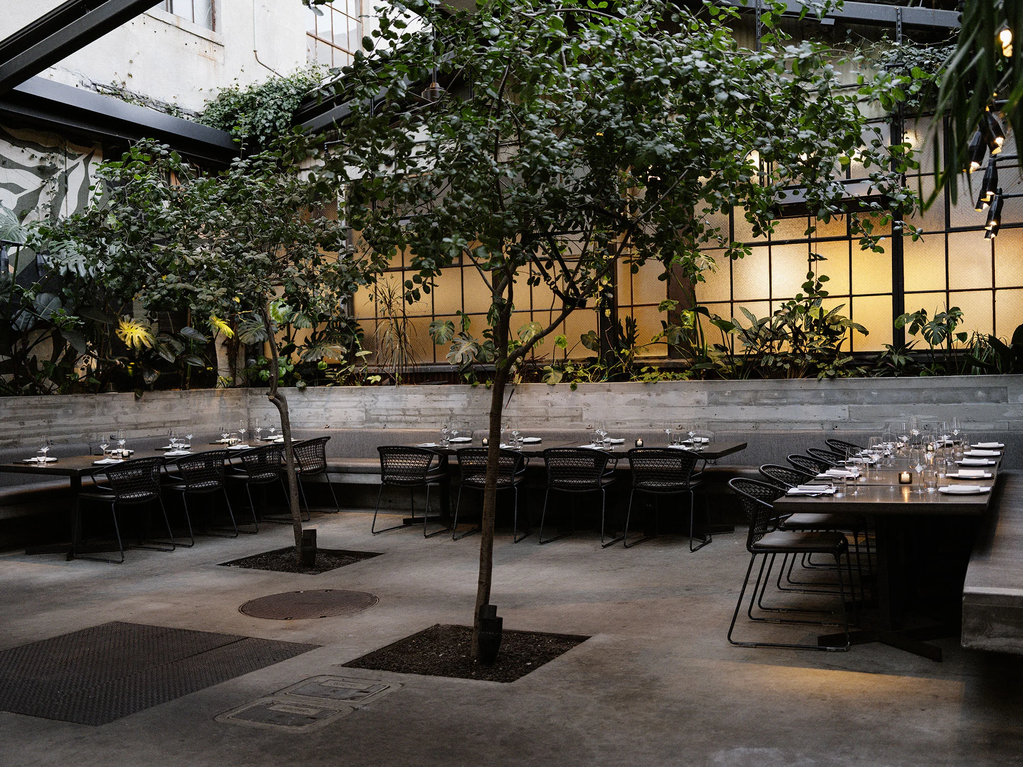 Patio at Damian