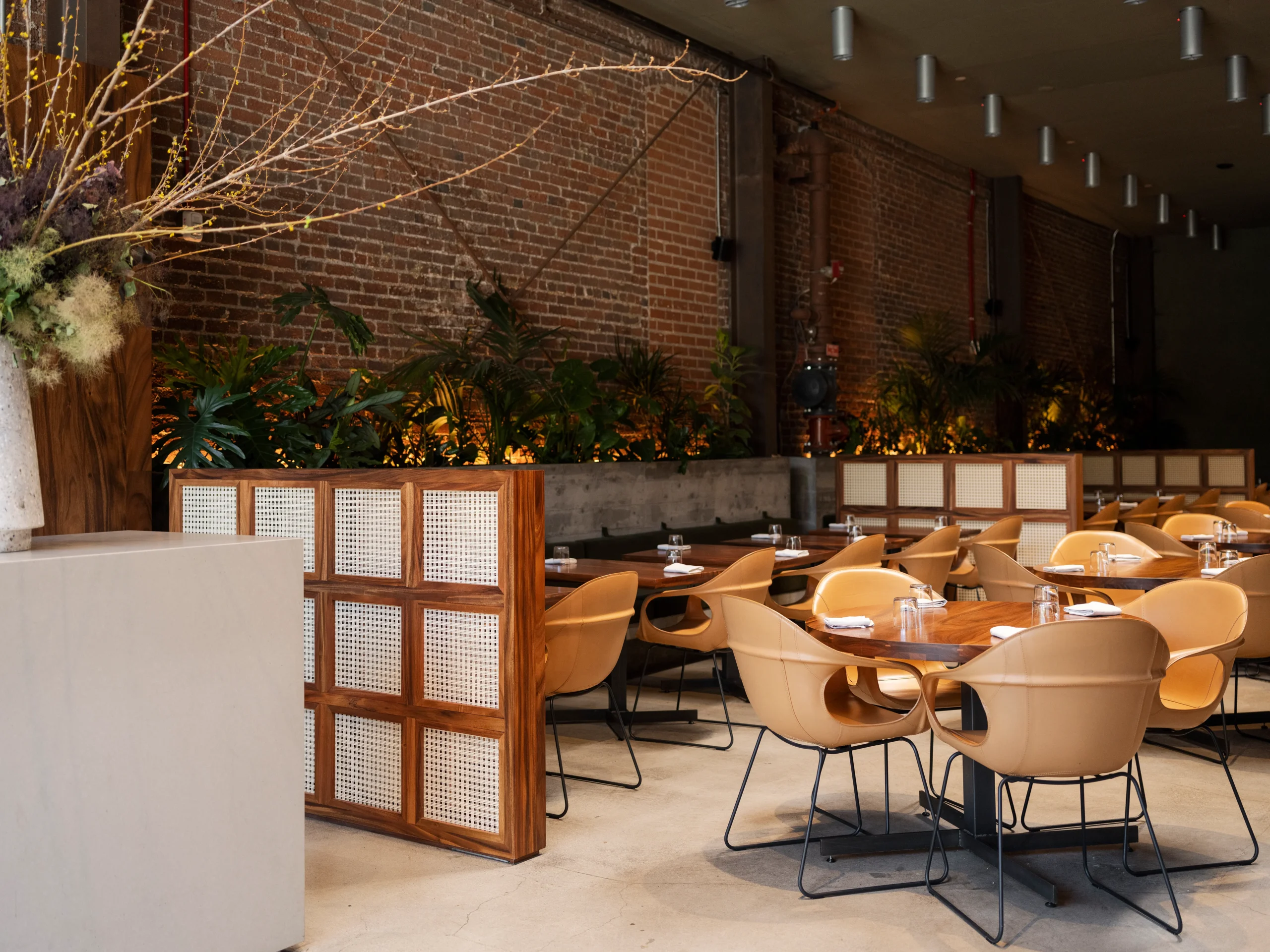 Damian private dining 2