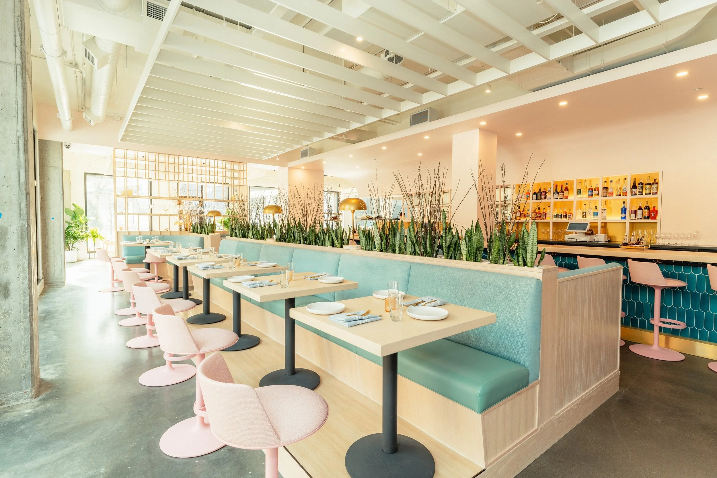 Restaurant buyout at Dario