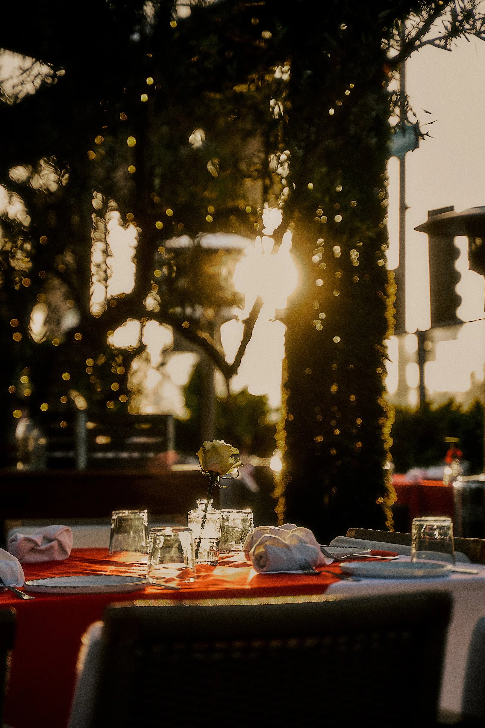 Paloma Venice private dining 5