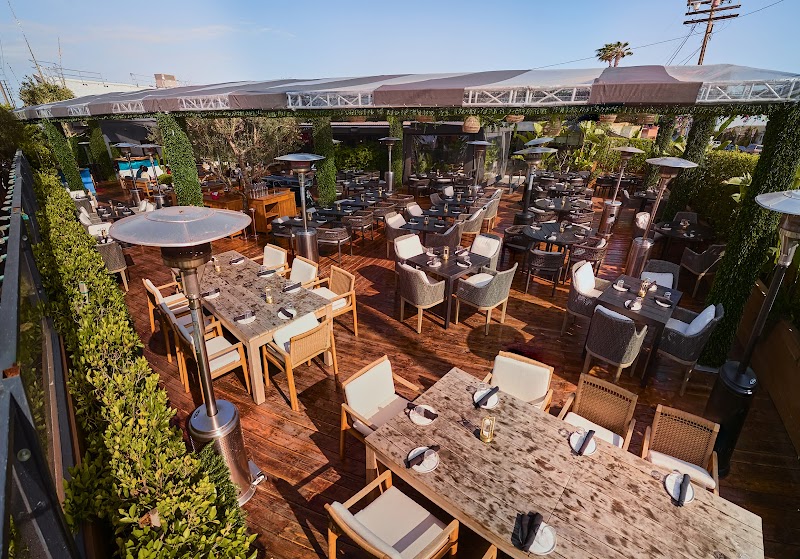 Oasis Deck at Paloma Venice