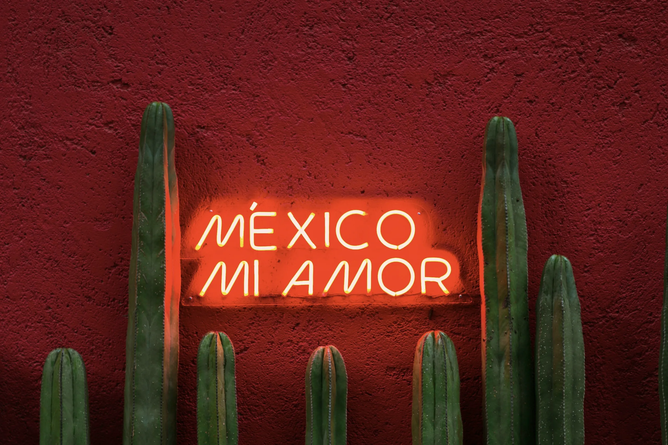 Whole Restaurant at Azotea Cantina