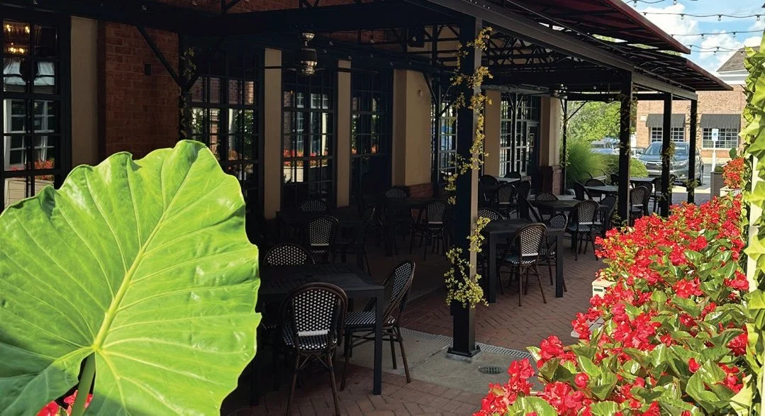 Patio at Peninsula Prime