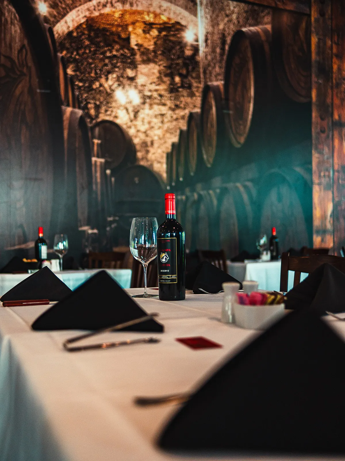 Estampa Gaucha Brazilian Steakhouse private dining 3