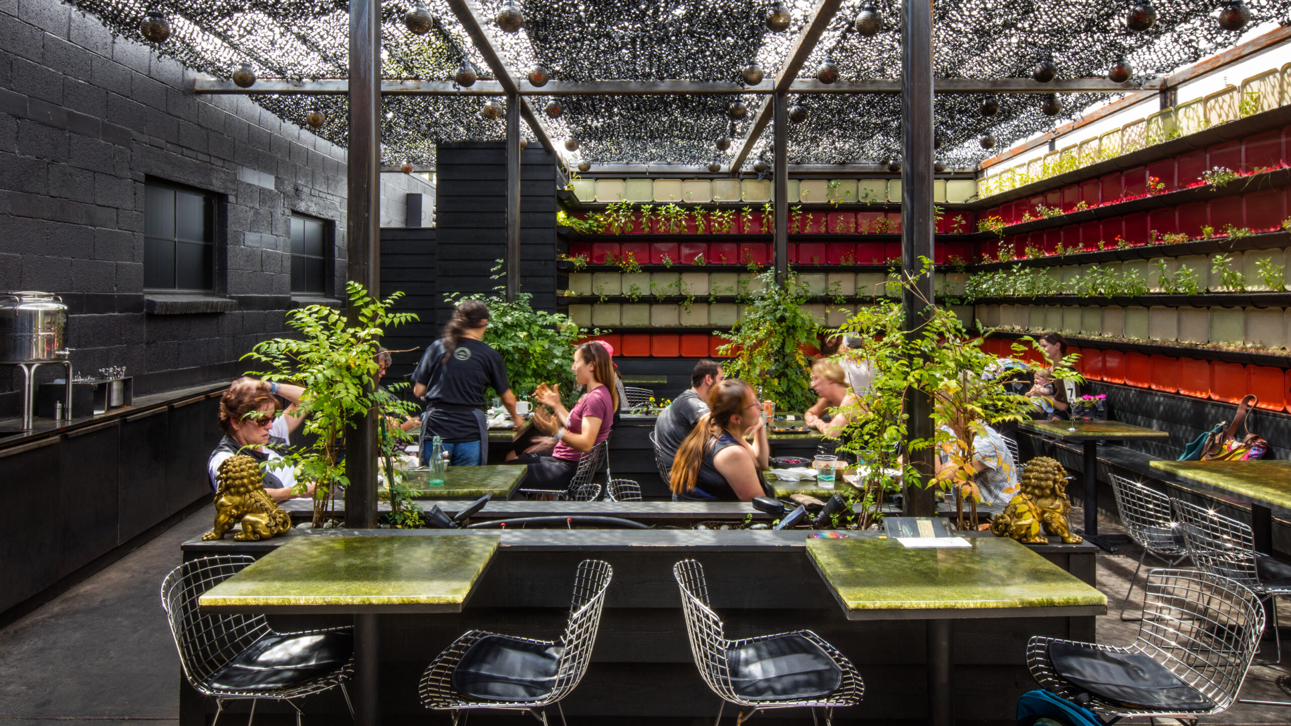 Patios (Vital Root) - Back Patio at El Five