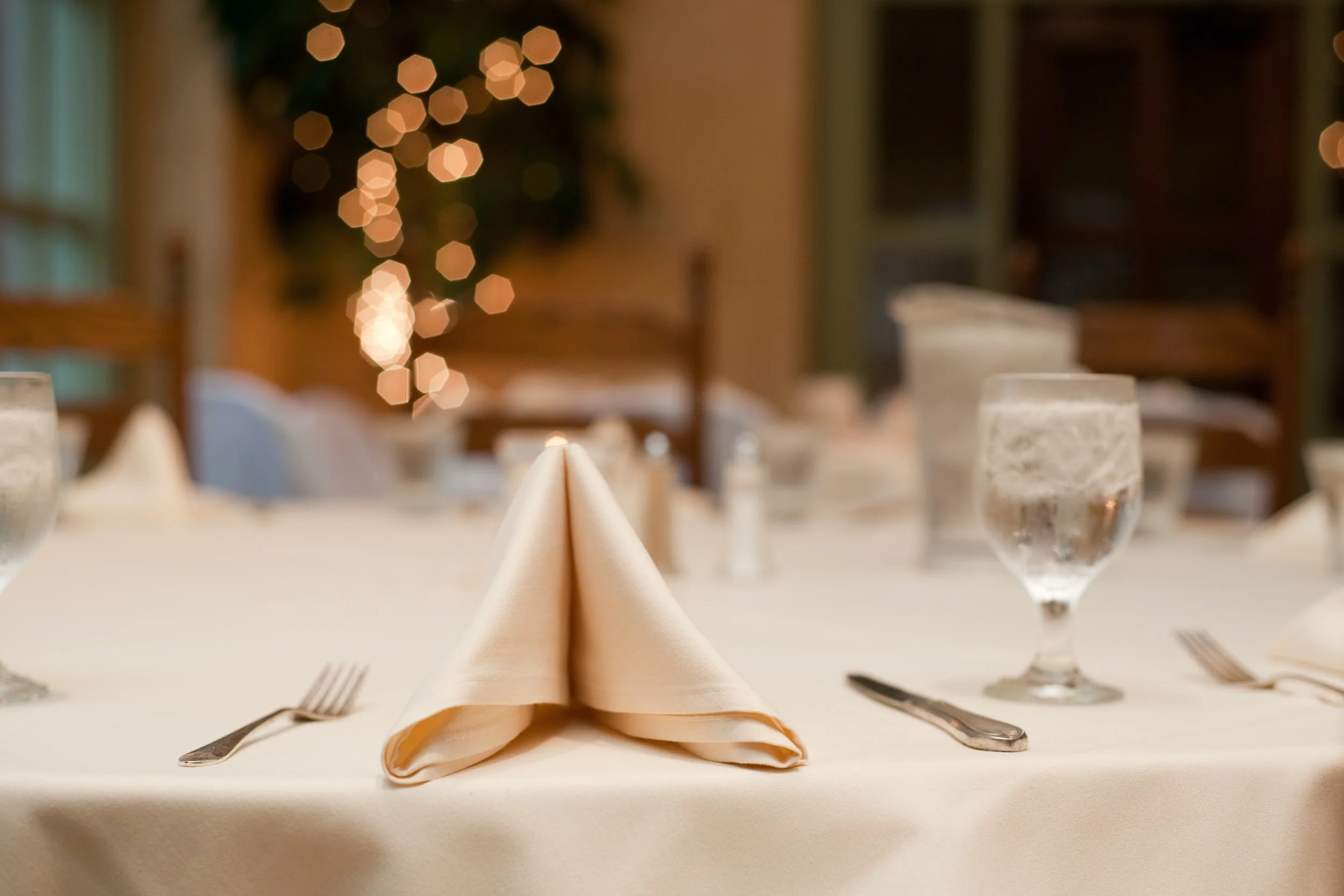 Enza's Italian Restaurant private dining 4