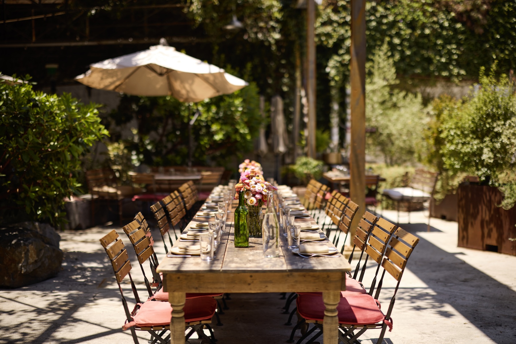The Garden at Manuela