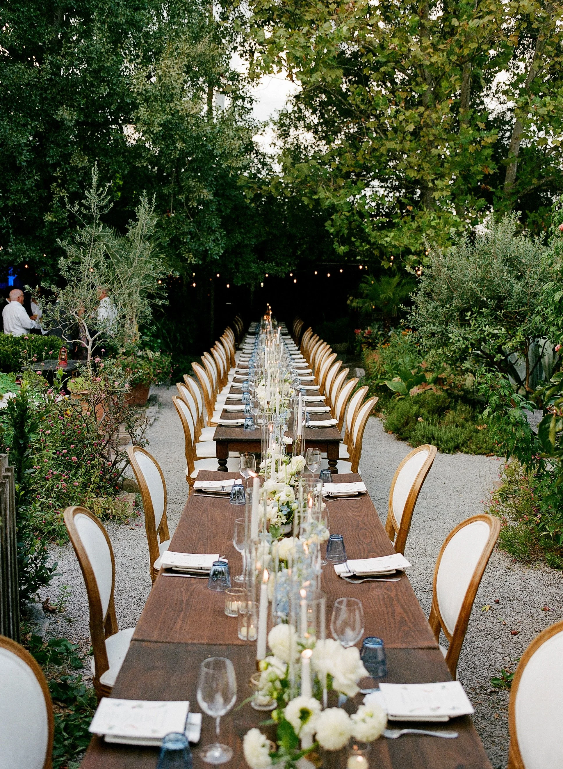 Garden at N7