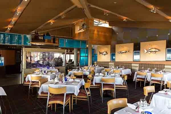 The Gallery at Pacifica Del Mar