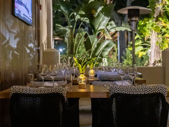 Vines Garden at Vines by H