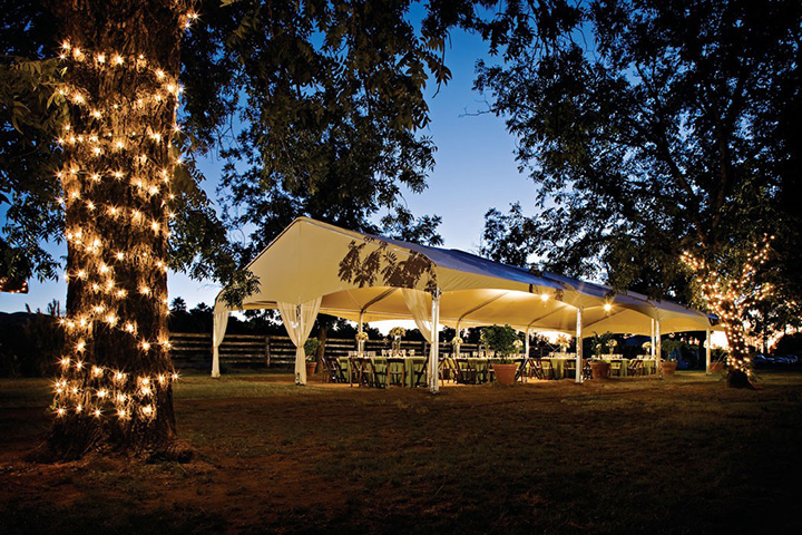 The Canopy at The Grove at The Farm at South Mountain