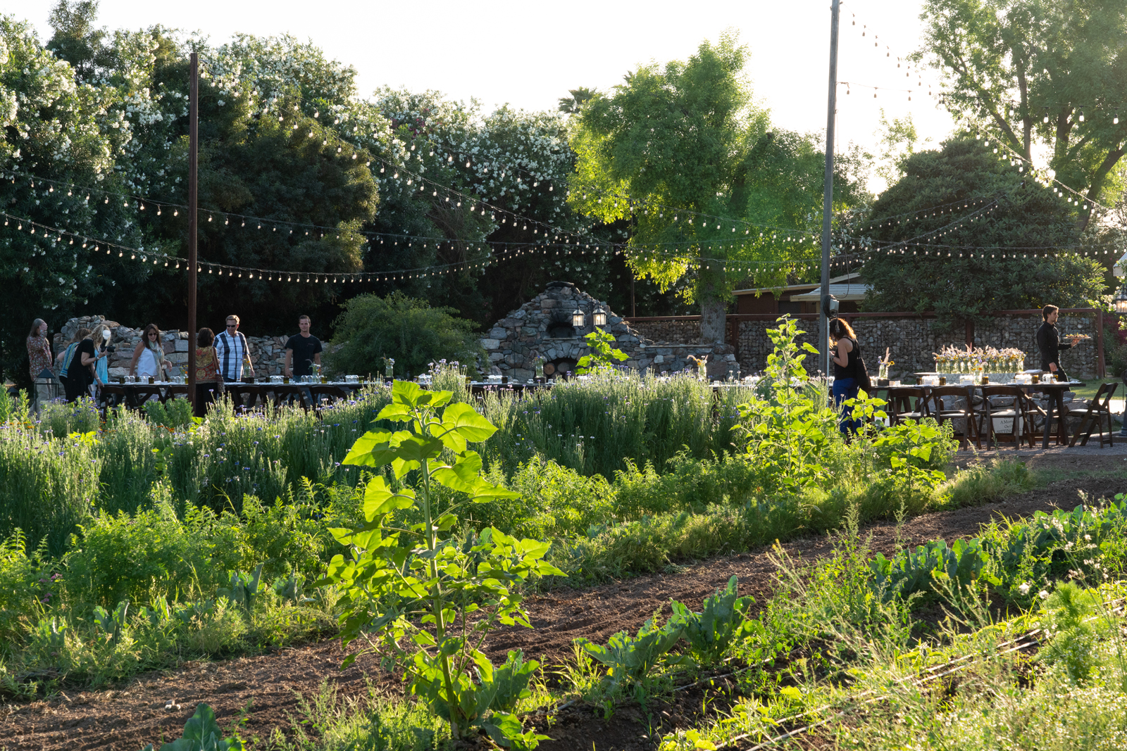 The Farm at South Mountain private dining 5