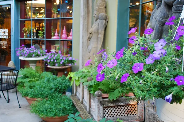 flower-laden patio at Oasis Cafe