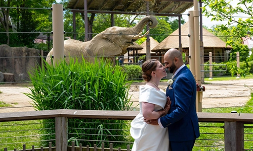 Zoo Weddings at The Galley