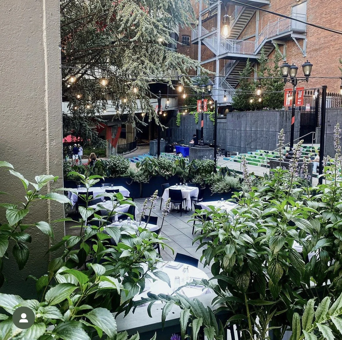 Zinc Garden Room & Patio at Zinc