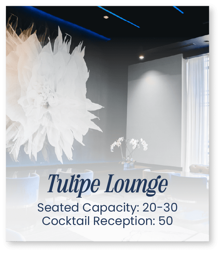 Tulipe Lounge at 51fifteen
