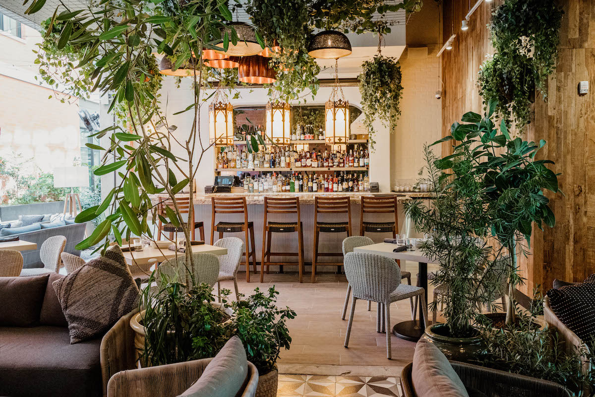 Paseo Bar at Aba Austin