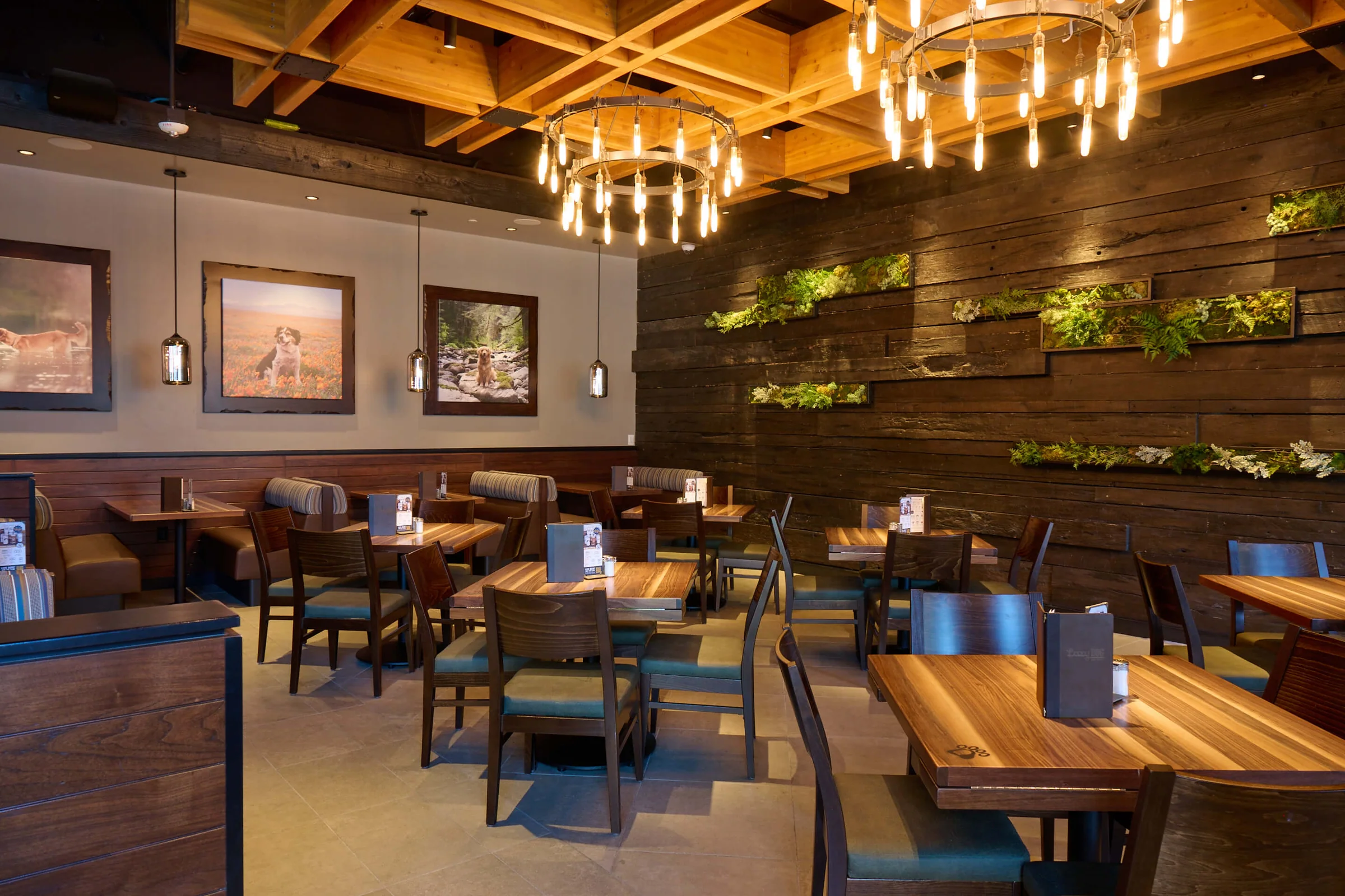 Lazy Dog Restaurant & Bar private dining 2