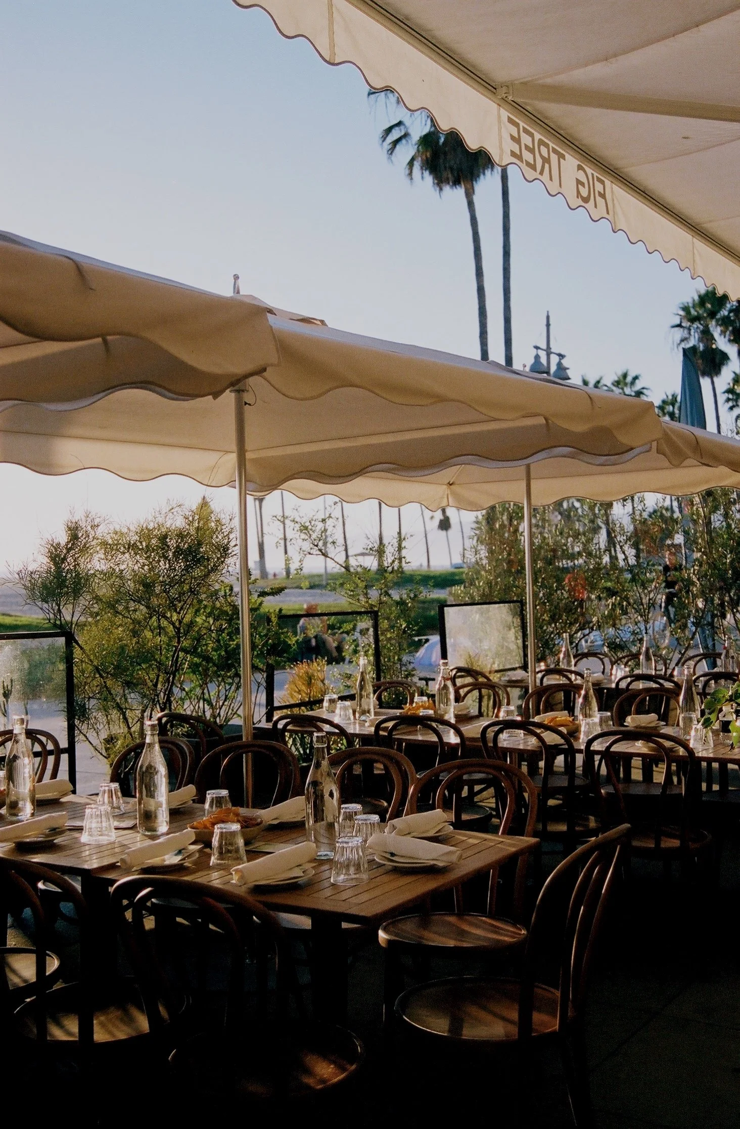 Beach Front Patio Party at Fig Tree