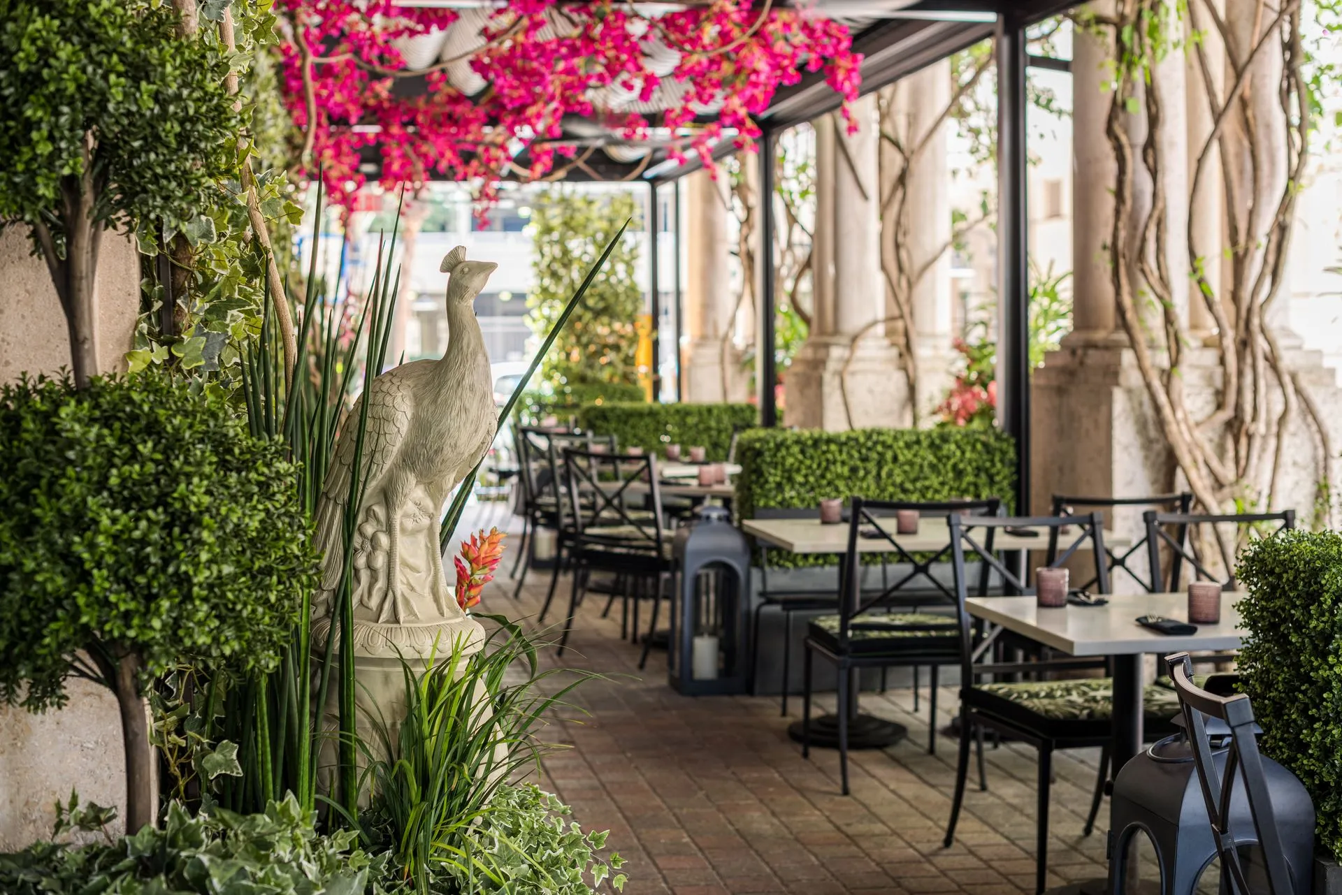 Timpano Las Olas private dining 4