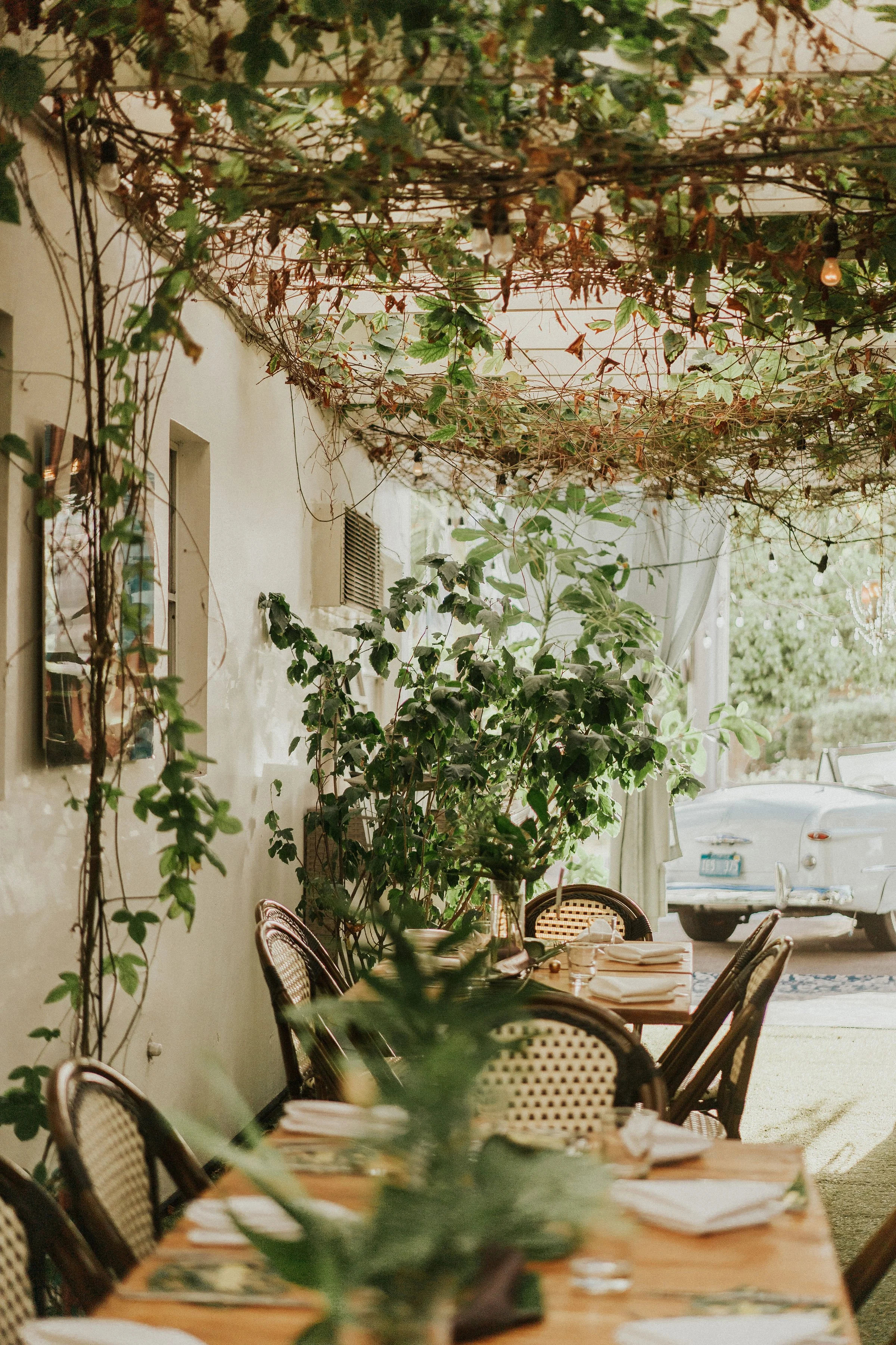 A-Room & Alleyway at Wine Garden