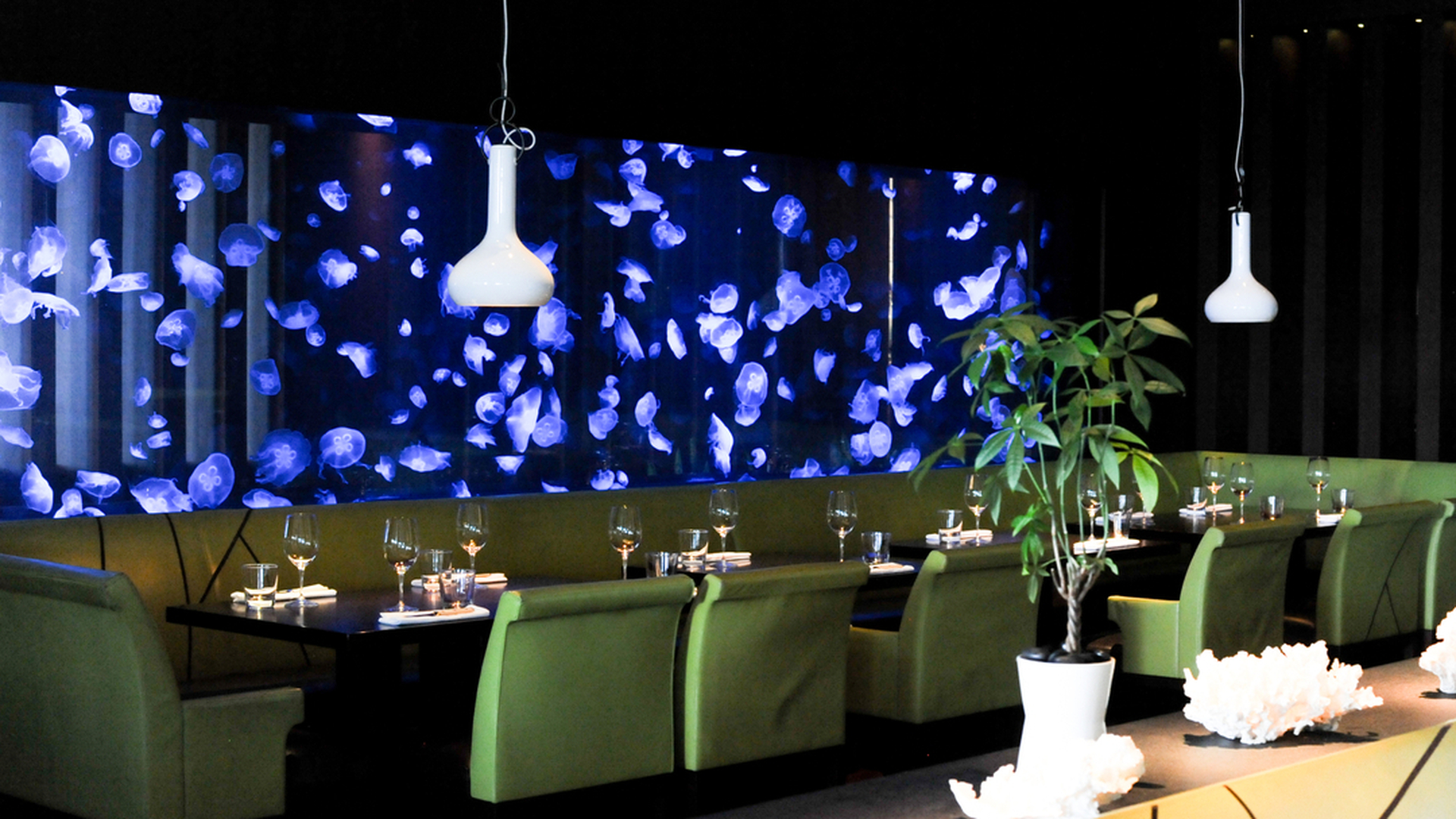 Steak 954 private dining 2