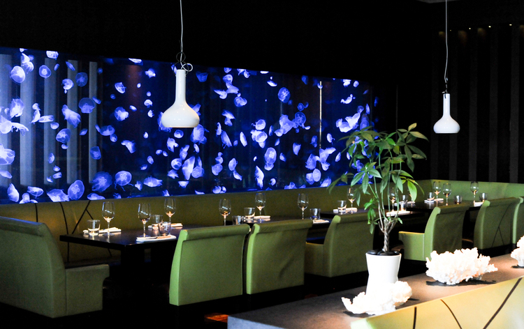 Steak 954 venue