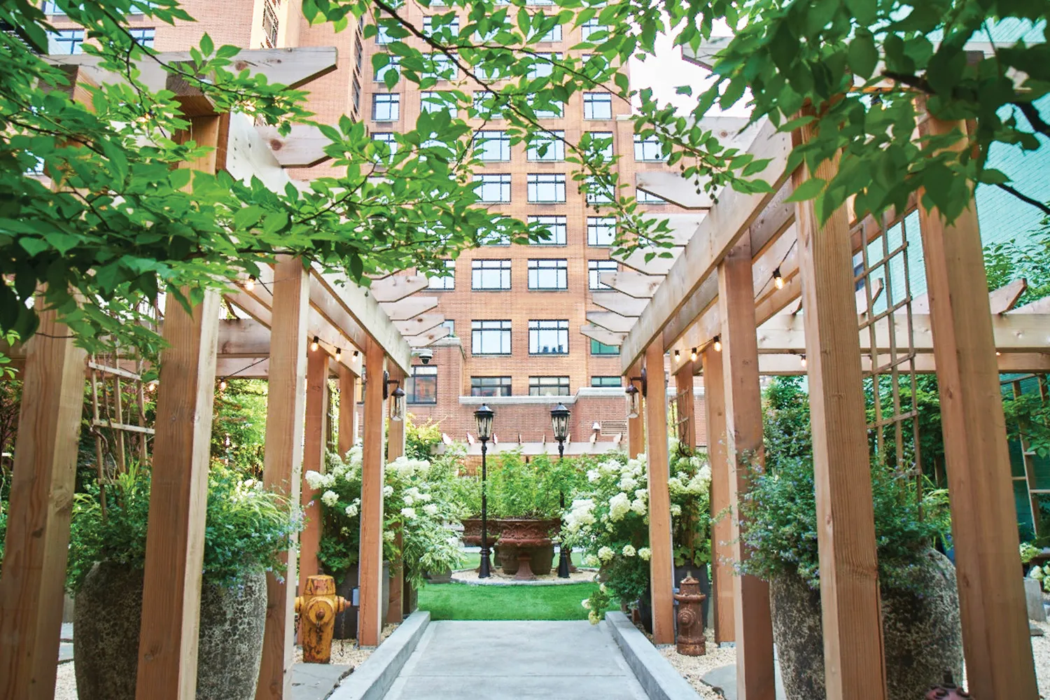 Soho Grand Dog Park at Grand Bar & Salon