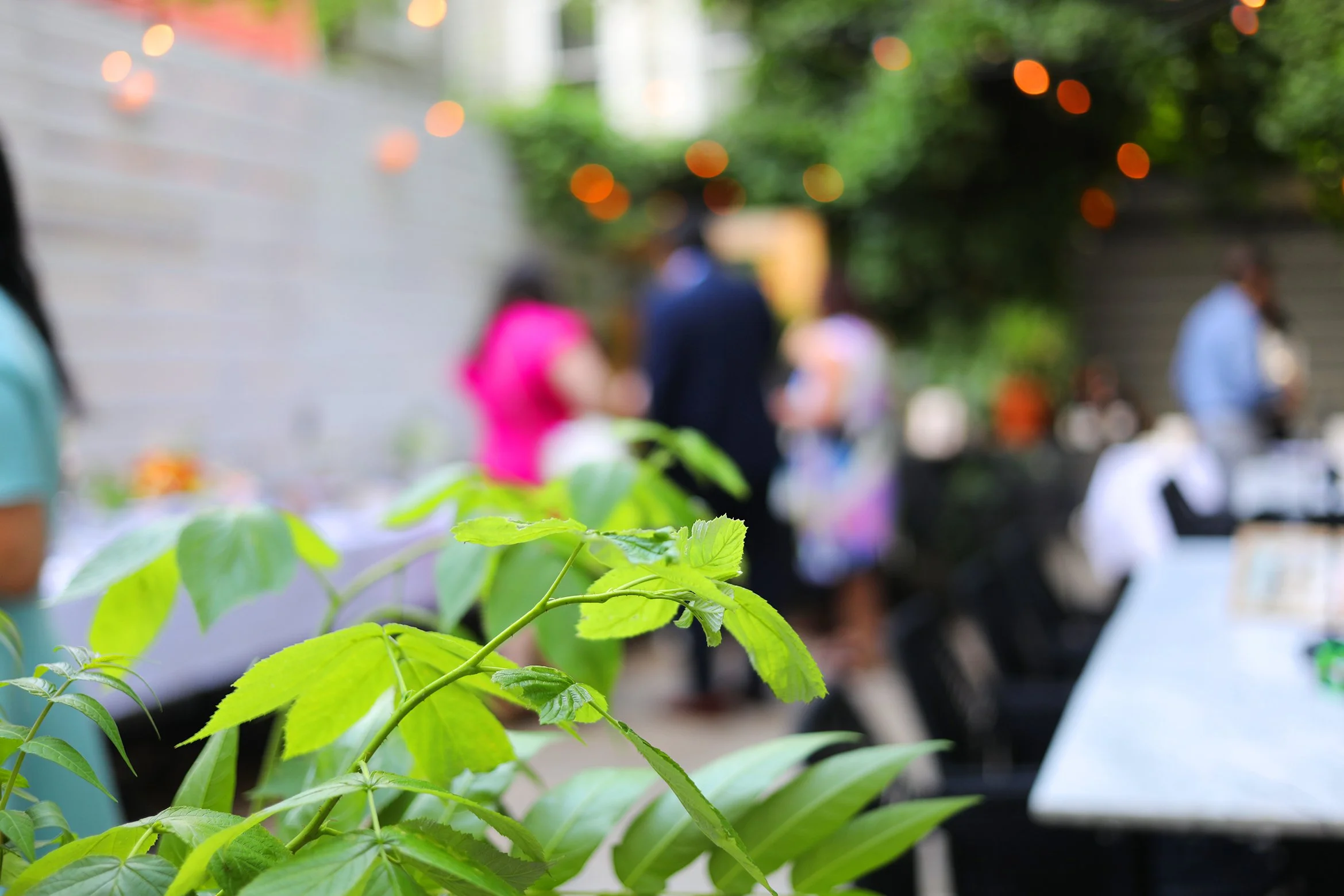 L'Accolade private dining 2