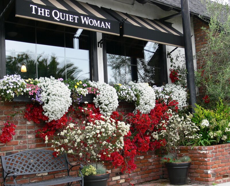 The BackDeck @ QW at The Quiet Woman