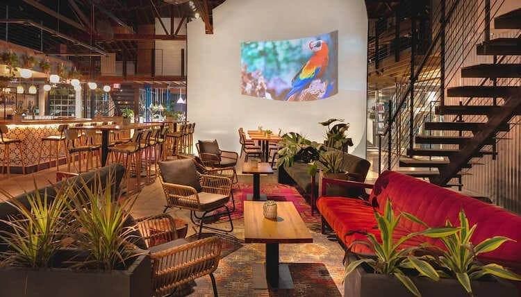 monOrchid private dining 2