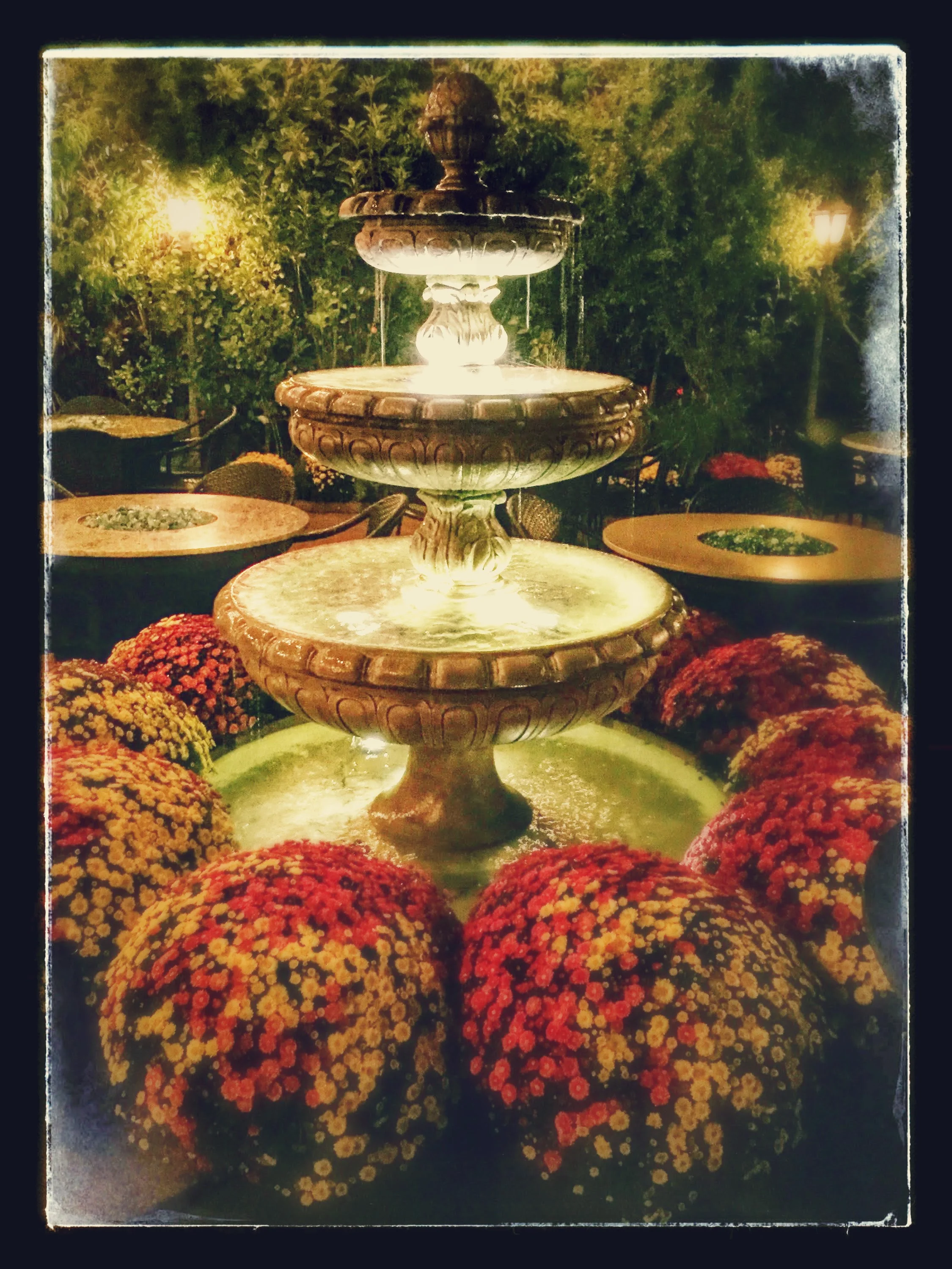 Zaytoon private dining 5