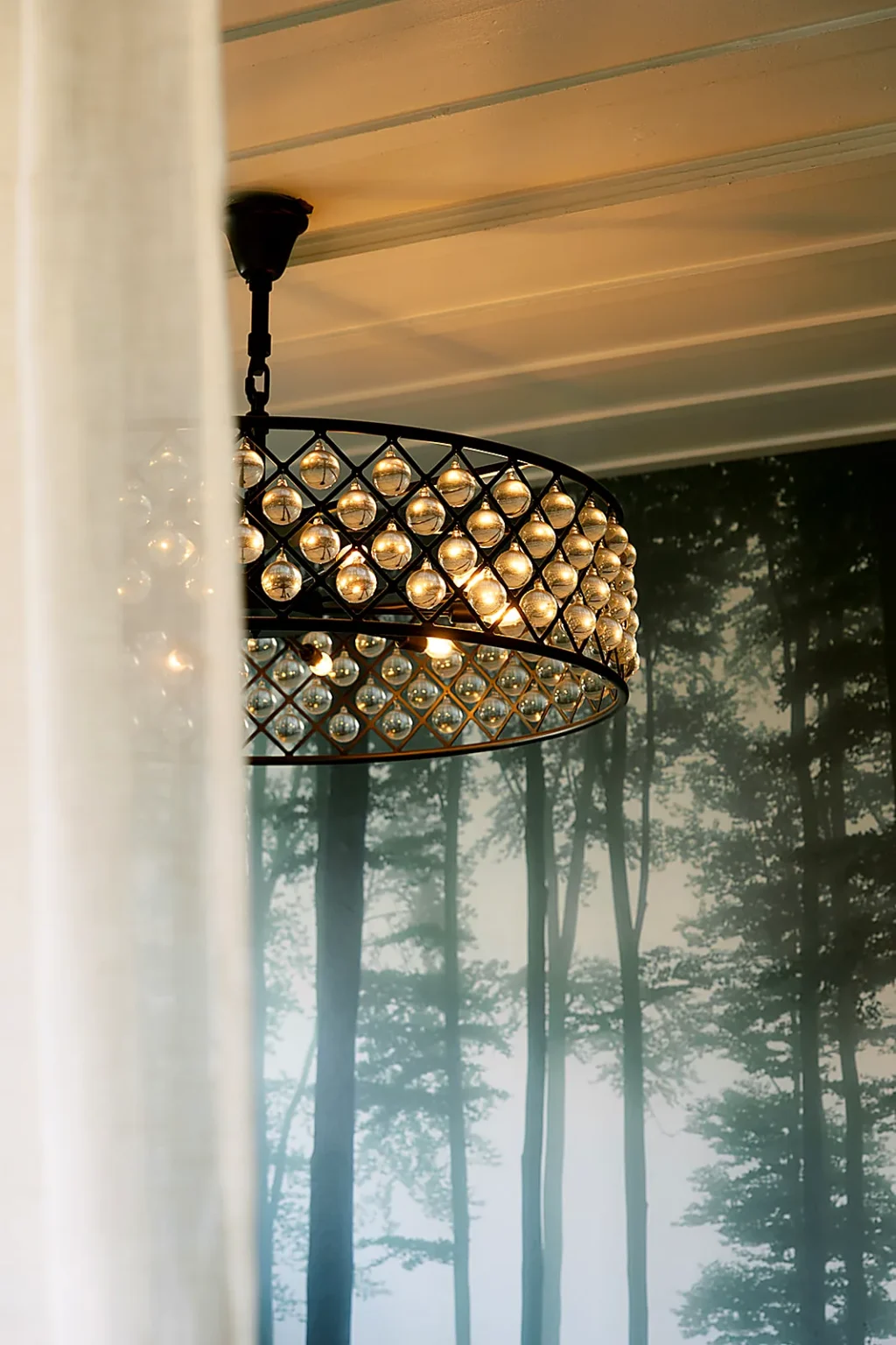 Forest Room at Scarlett Begonia