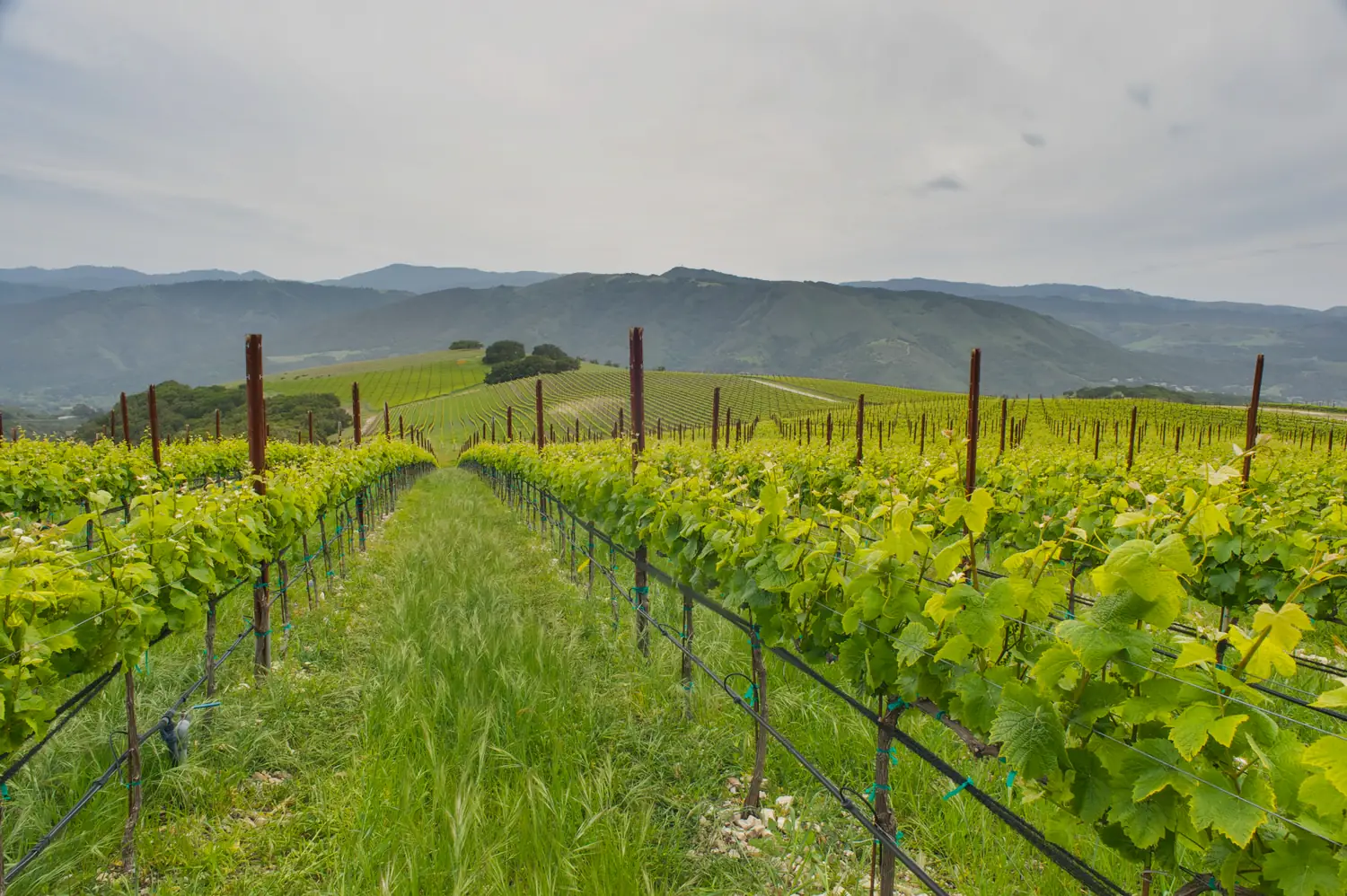 Albatross Ridge Winery & Kitchen private dining 4
