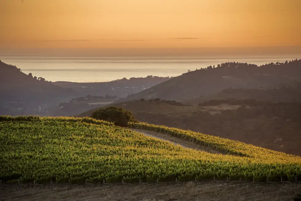 Albatross Ridge Winery & Kitchen private dining 5