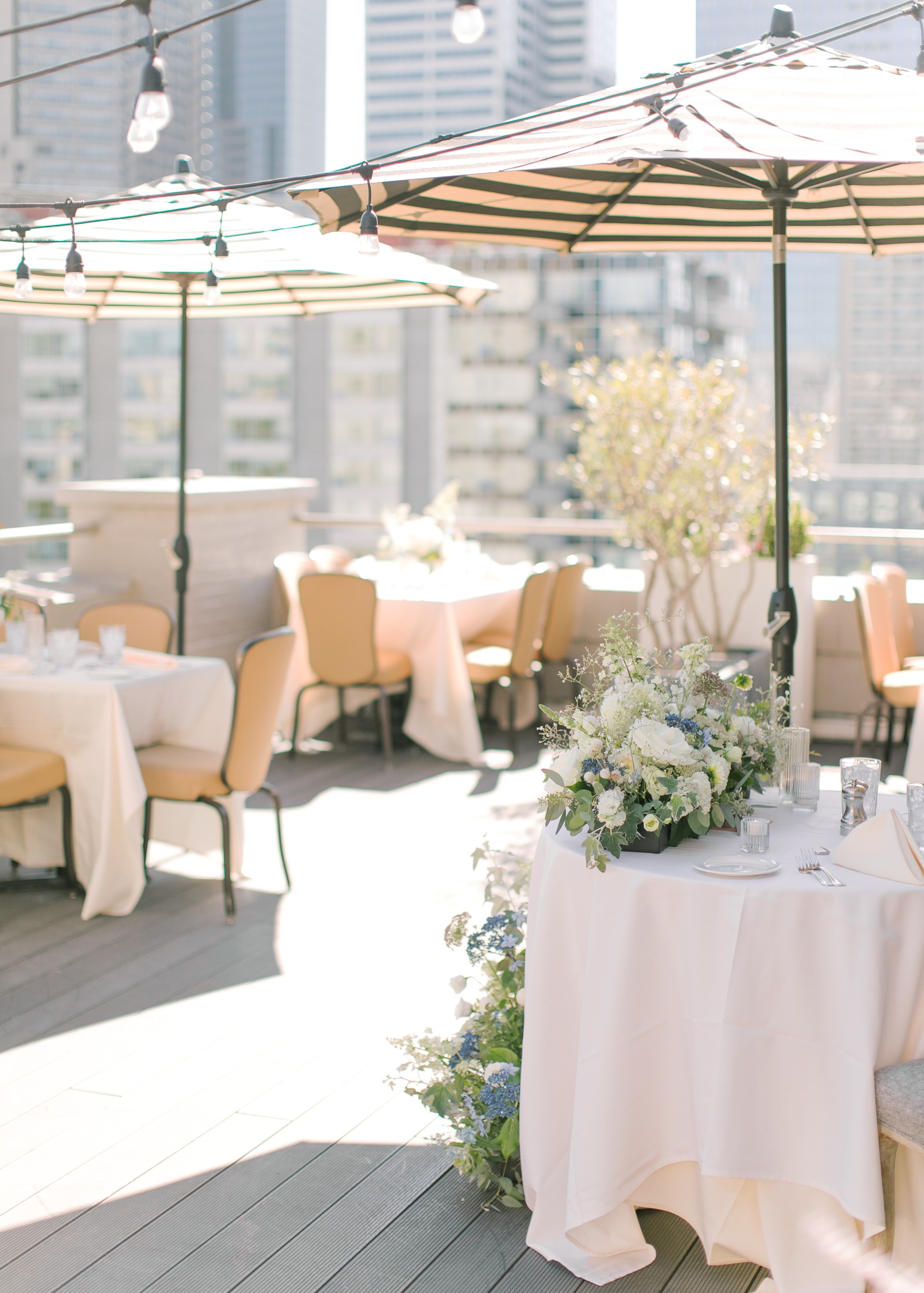 Stella. private dining 4