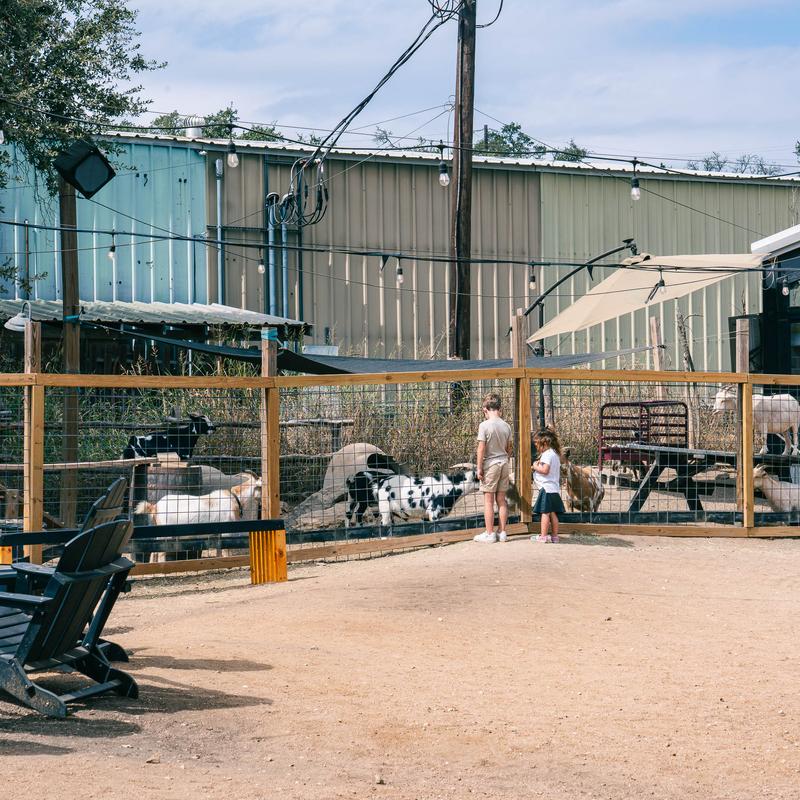 The Yard at Screaming Goat Yard & Tap