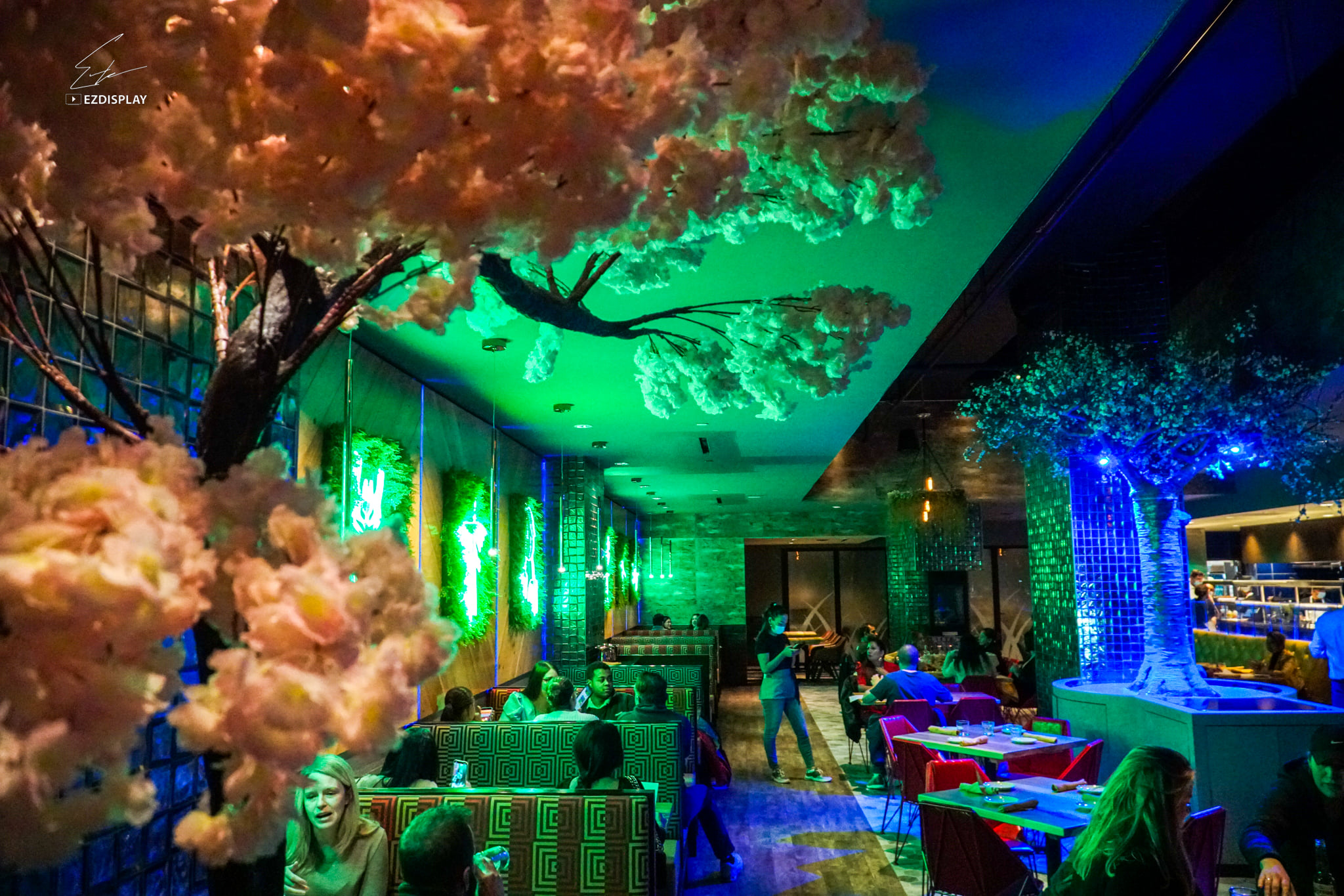 Private dining Arlington VA at Inca Social