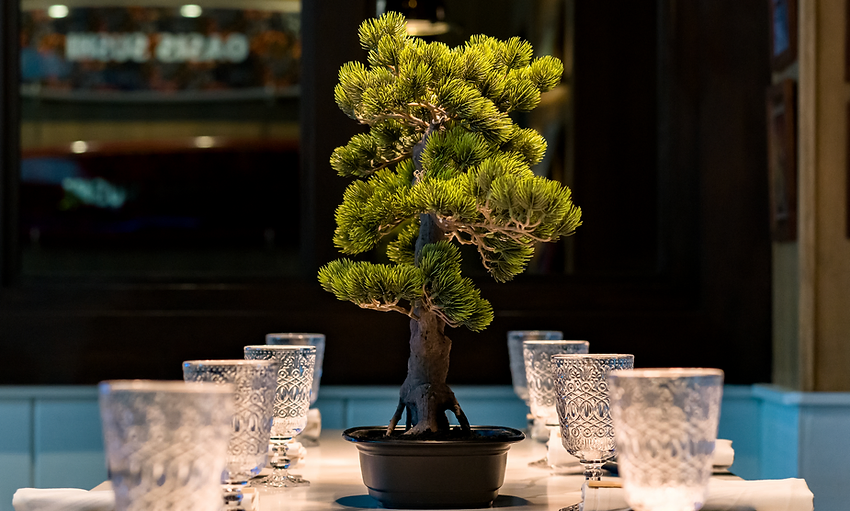 Private Dining Experience at Oasis The Listening Bar