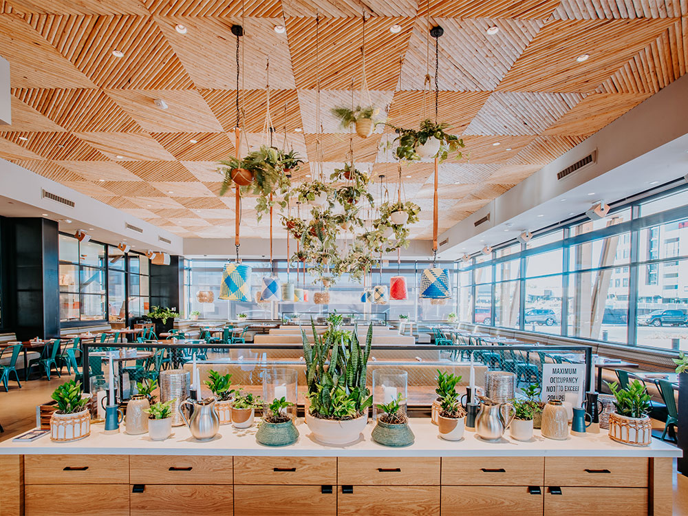 Main Dining Room at Blanco Cocina + Cantina - Denver