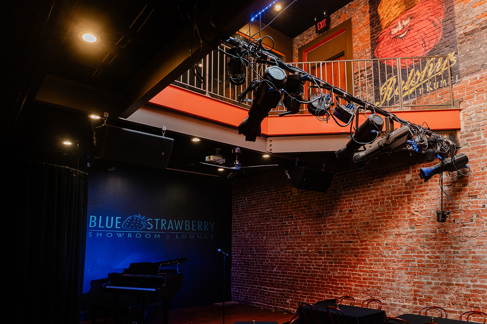 Blue Strawberry private dining 5