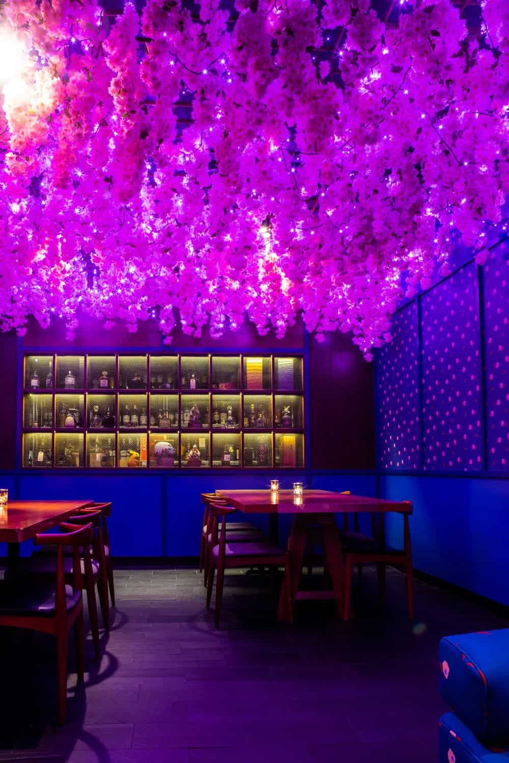 Momotaro private dining 5