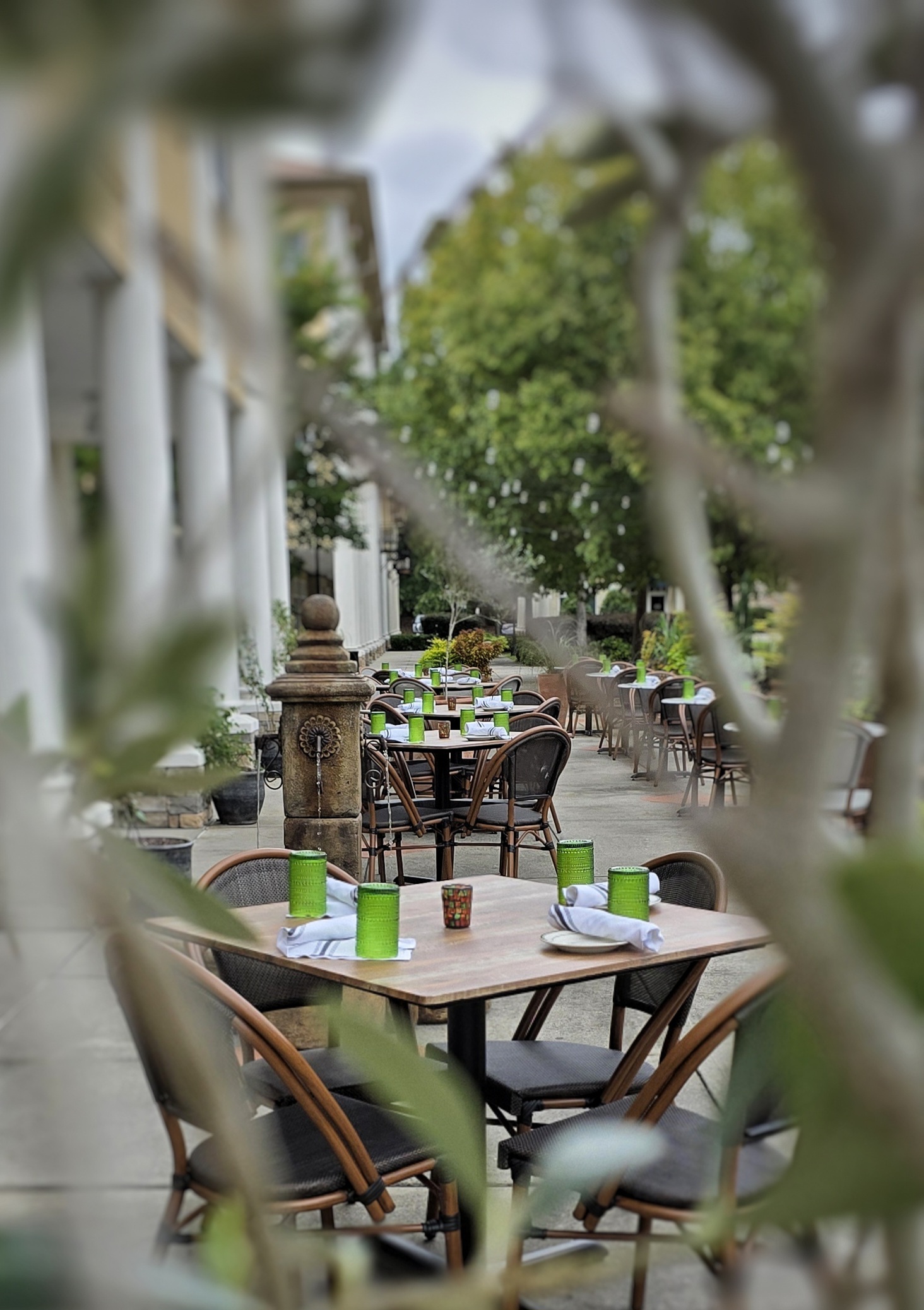 Cucciolo Osteria Durham private dining 2