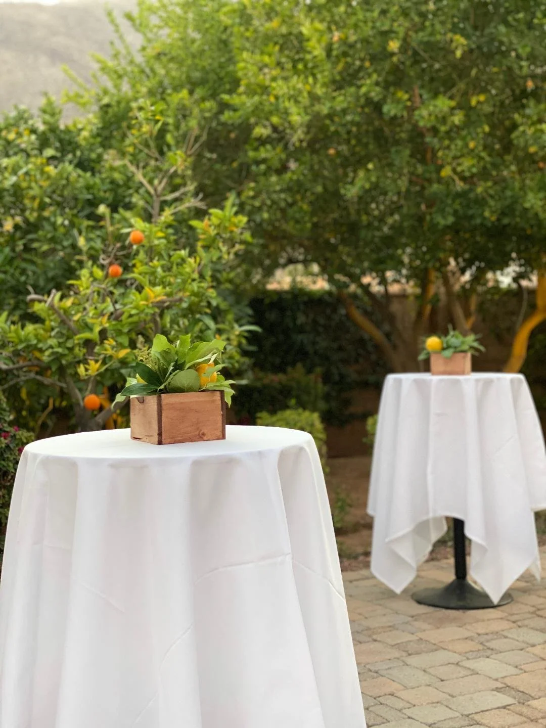 Garden (stand-up cocktail party) at La Spiga Ristorante Italiano