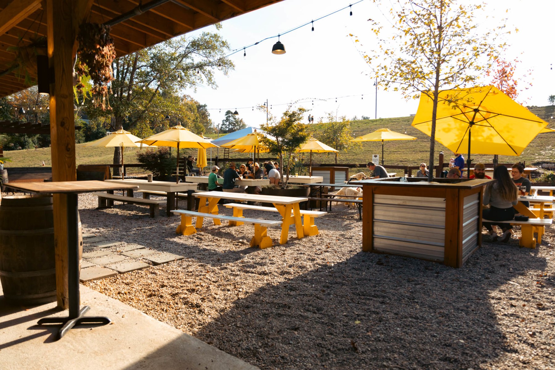 Hazelwood Brewing Company private dining