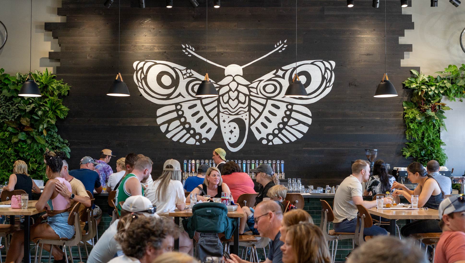 Full taproom buyout at Nocterra Brewing Co.