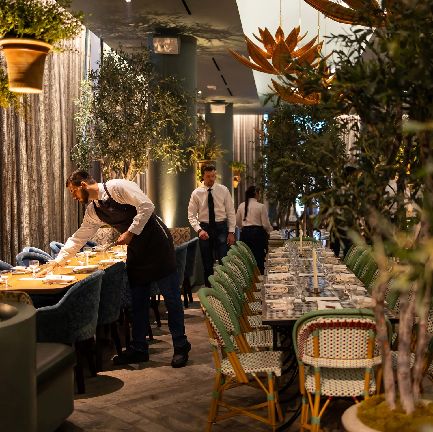 Predalina venue