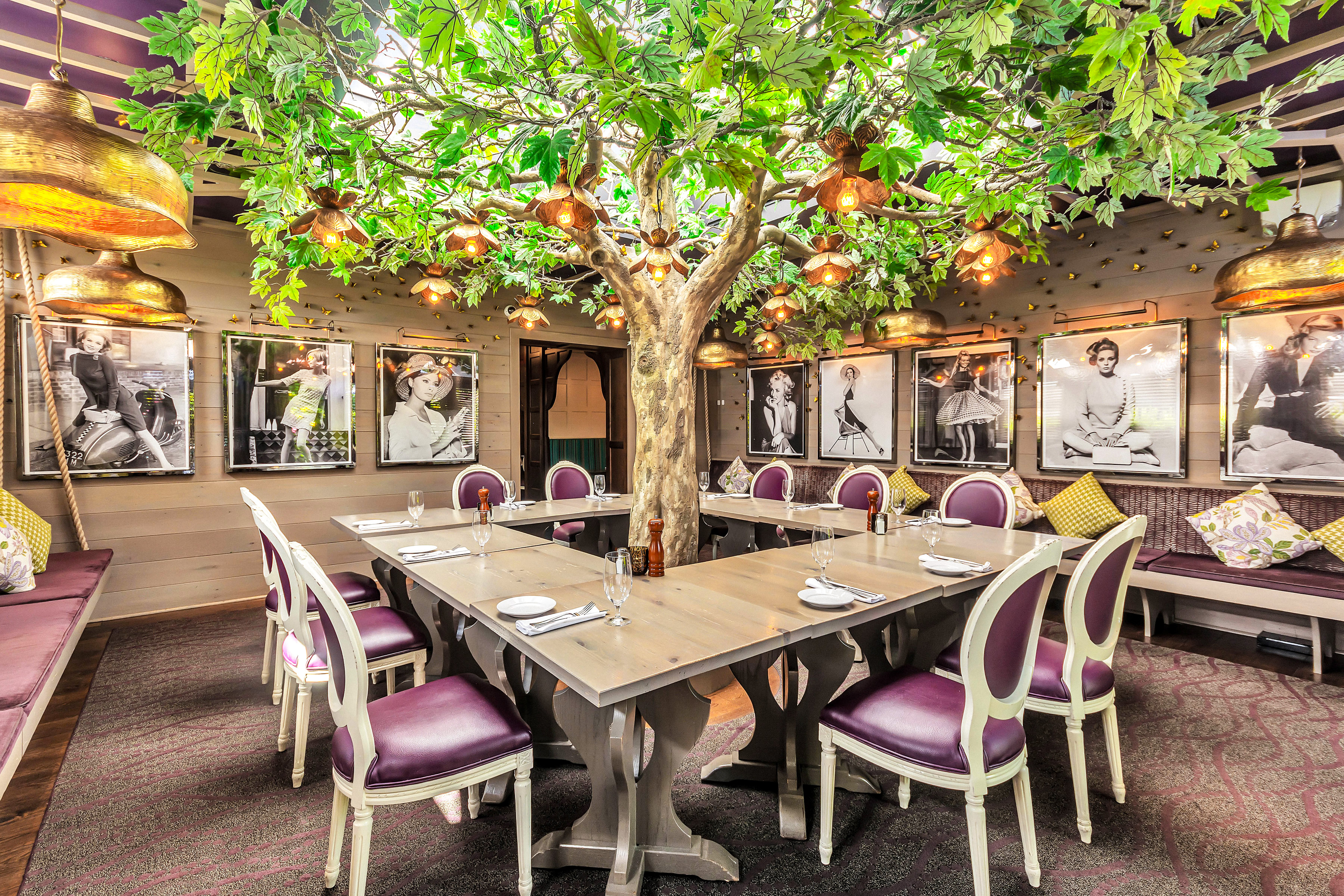 Sycamore Room at Autograph Brasserie